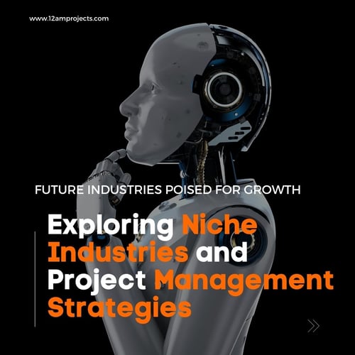 project management strategies in niche industries